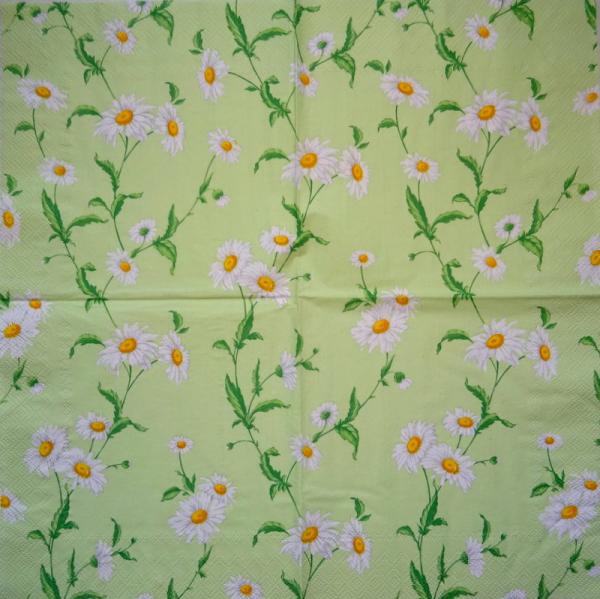 348 Daisies - 3-ply - CS